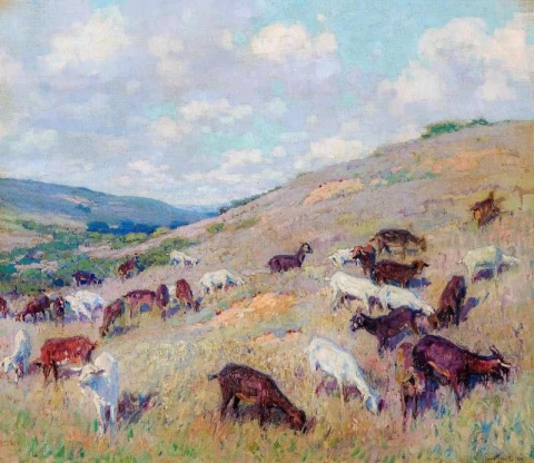ポモナの丘の中腹のヤギ 1924