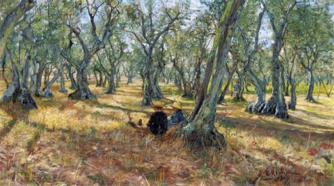 Among The Olive Trees