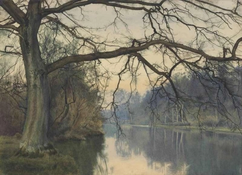 Et stort tre på en elvebredd 1892