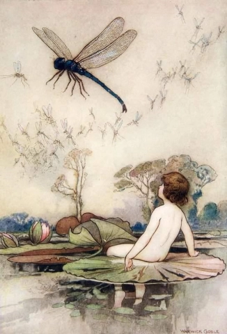 水宝宝们。陆地宝宝的童话 1909