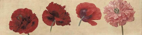Poppies Ca. 1912