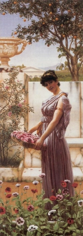 The Flowers of Venus - 1890
