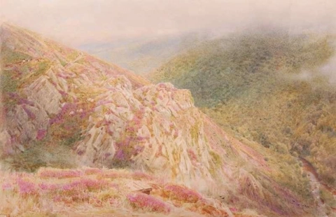 Colinas revestidas de brezo Dartmoor 1879