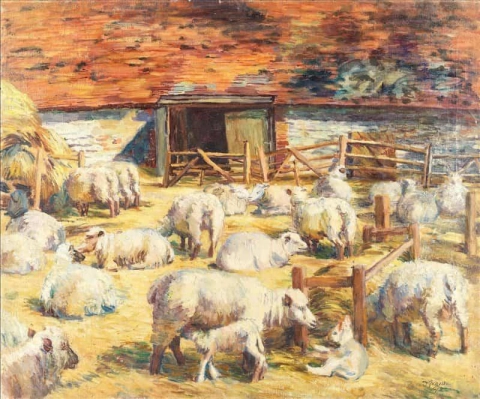 Schafe im Scheunenhof in Charleston 1942