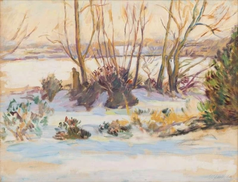 查尔斯顿冬季雪中的池塘 1964
