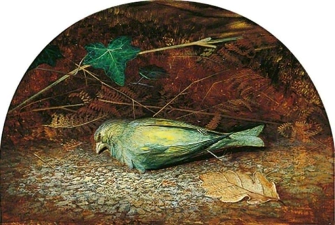 Um verdilhão morto, cerca de 1862-63