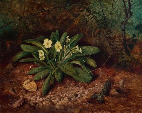 Первоцветы 1862