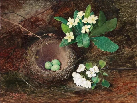 Дрозд S Nest Primroses Pear Blossom 1862