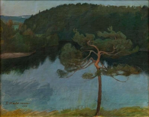 Pine Tree By The Shore