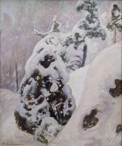 雪に覆われたジュニペグの斜面