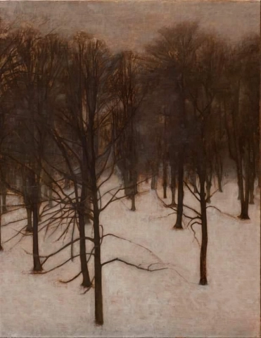 1895 ～ 1896 年の冬のゾンダーマルケン公園