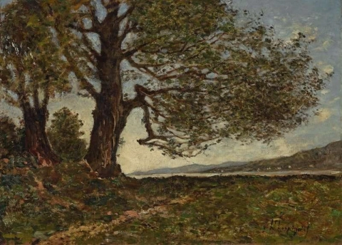 The Old Oaks On The Banks Of The Allier