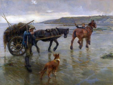 Raccoglitori di alghe 1905