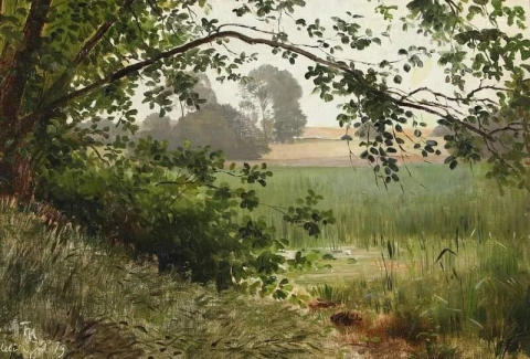 Paisaje forestal 1879