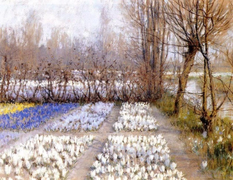 Frühlingskrokusfelder, ca. 1889