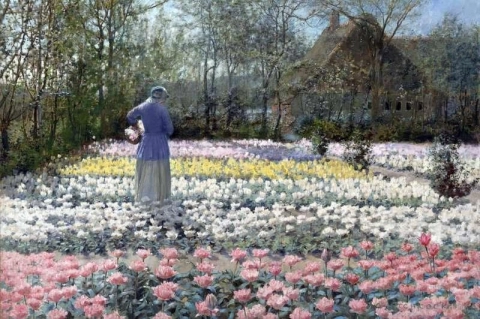 Tulpenkultur 1889