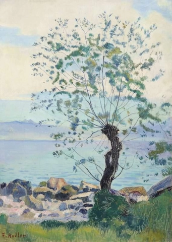 Weidenbaum sul lago Genfersee intorno al 1891