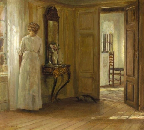 Interior com uma senhora e um gato 1