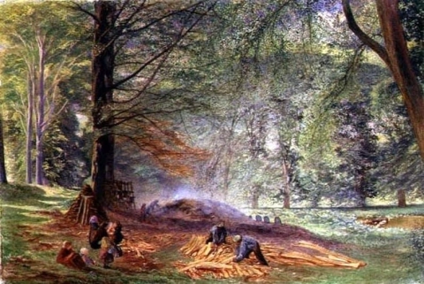 Houtskoolbranders in Rokeby Park