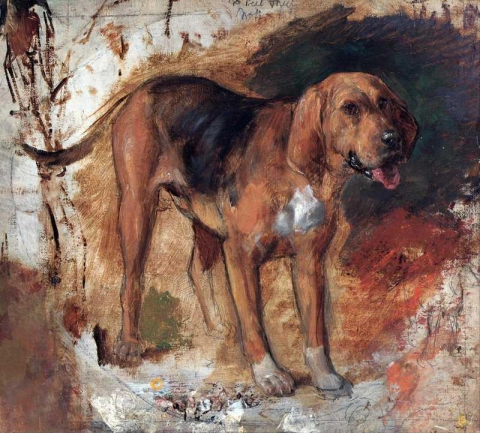Studie av en blodhund 1848