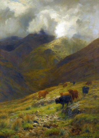 Unter den sich versammelnden Nebeln Highland Cattle 1885