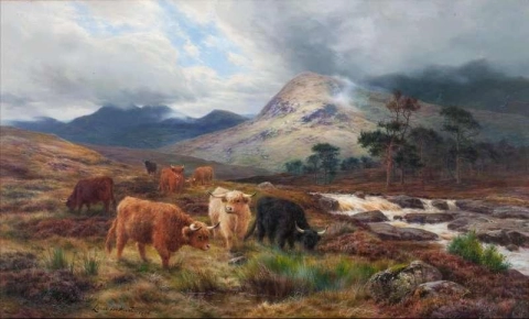 Rinder an einem Highland Torrent 1905