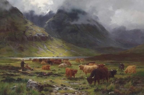 Bovini delle Highland in una valle 1891