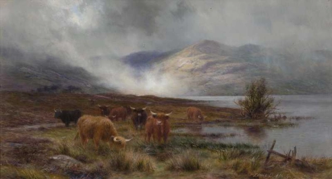 Highland Cattle Watering In Mist