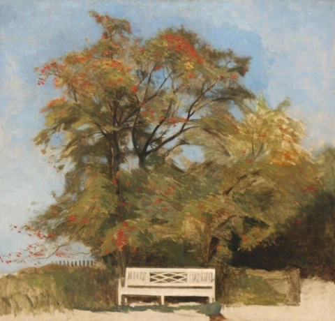 Вид на сад с белой скамейкой под цветущим деревом