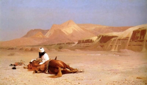 阿拉伯人和他的坐骑
