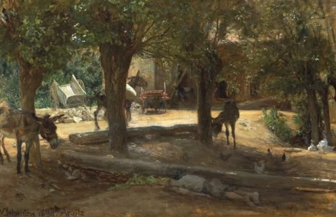 Ослы под тенистыми деревьями в полуденную жару в Аквиле, Италия, 1898 г.