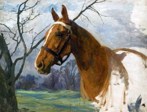 Cavalo Castanho