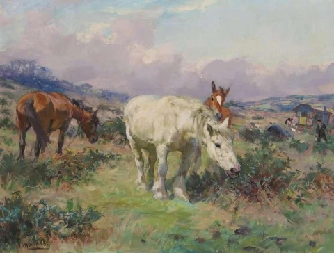 Caravana cigana e cavalos em uma charneca ensolarada
