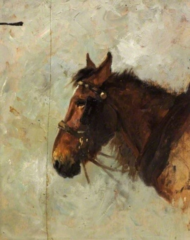 Bosquejo de la cabeza de caballo 1895
