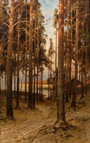 Ett skogslandskap 1901