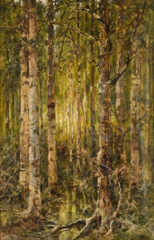Bjørkeskog