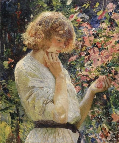 沼泽锦葵，约 1914 年