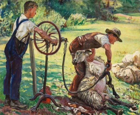 Tosquia de ovelhas 1940