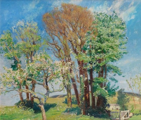 Spring Landscape Ca. 1914-18