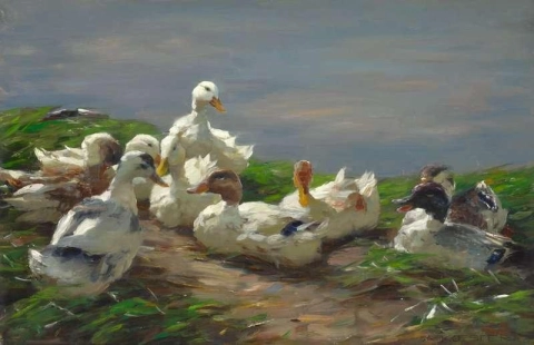 Neun Enten auf einem Teich
