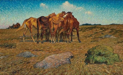 Um grupo de cavalos