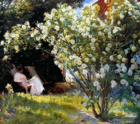 Roses Or The Artists Wife In The Garden At Skagen 1893