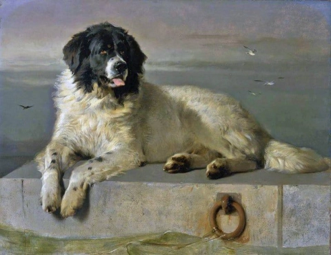 A Distinguished Member Of The Humane Society 1838