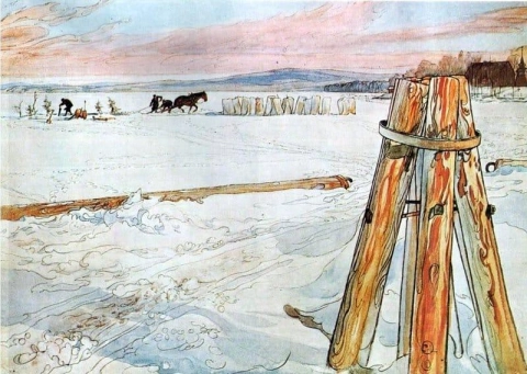Raccolta del ghiaccio 1905