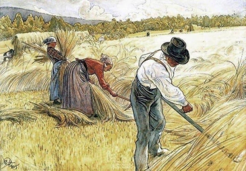 Het oogsten van de rogge 1905
