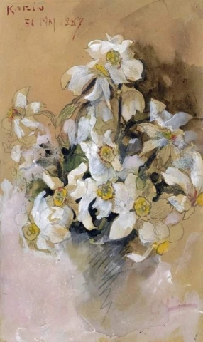 Narciso 1887