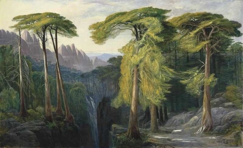 La foresta di Bavella 1878-88 circa