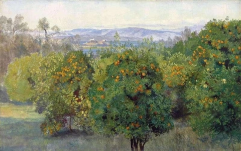 View Of The Citadel Corfu With An Orange Grove In The Foreground