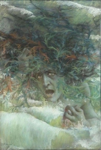 Meduse 1897