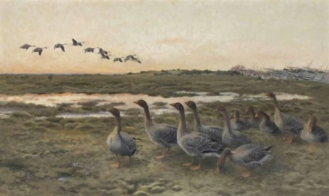 Bonenganzen in een moerassig landschap 1921